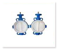 PTFE butterfly valve