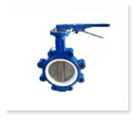 PTFE butterfly valve