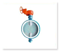 PTFE butterfly valve