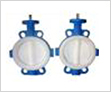 PTFE Butterfly Valve