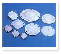 PTFE Diaphragm