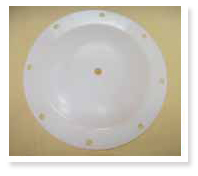 PTFE Diaphragm