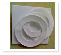 PTFE Gaskets